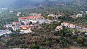 Príroda v okolí vily