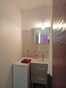 uma casa de banho com um lavatório e um espelho em Zoulysse III Annecy em Annecy