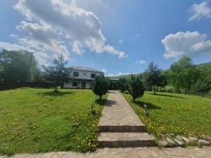 une maison dans un champ d'herbe avec une passerelle dans l'établissement Cabana PUFI, à Dobîrlău