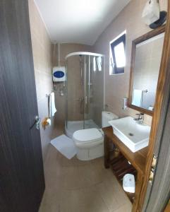 uma casa de banho com um chuveiro, um WC e um lavatório. em Cabana PUFI em Dobîrlău