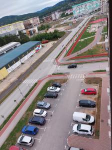 grupa samochodów zaparkowanych na parkingu w obiekcie Nina apartman w mieście Donje Mladice