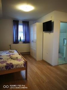 a bedroom with a bed and a tv and a mirror at Vila Julija - Apartment & rooms in Otočac