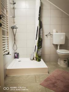 a bathroom with a shower and a toilet at Vila Julija - Apartment & rooms in Otočac +42 photos