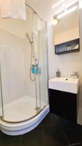 uma casa de banho com um chuveiro e um lavatório. em Premium Buda Castle Apartment em Budapeste