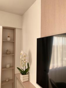 a living room with a flat screen tv on a wall at Panoramic View Studio - 15 min from Paris in Joinville-le-Pont
