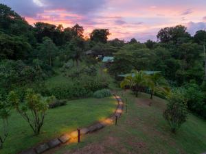 a view of a garden at sunset with a pathway at Hotel Finca Maresia in Drake