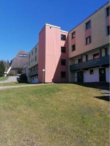 a building with a grassy yard in front of it at Ferienwohnung Mia in Sankt Englmar