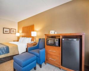 巴瑟斯特的住宿－巴瑟斯特舒適酒店，酒店客房带一张床、一台电视和一把椅子