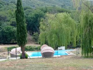Bazén v ubytovaní I Salici Agriturismo alebo v jeho blízkosti