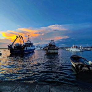 a group of boats docked in the water at sunset at Casa sul mare in Procida