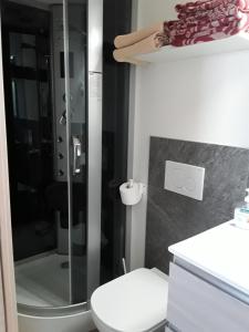 a bathroom with a shower and a white toilet at Residence Ables in Valfurva