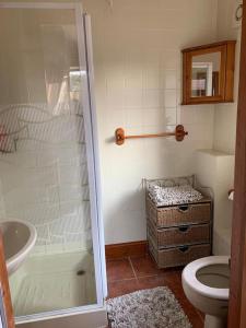 a bathroom with a shower and a toilet and a sink at Spacious 2 BR home close to town & coast + parking in Uzmaston