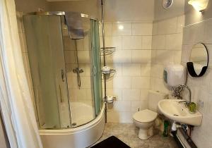a bathroom with a shower and a toilet and a sink at Przytulny domek w Człuchowie in Człuchów