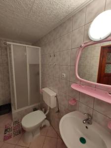 a bathroom with a toilet and a sink and a mirror at Gospodarstwo Agroturystyczne na Górce in Myczkowce