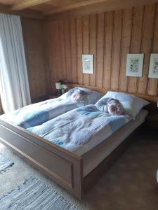 Lova arba lovos apgyvendinimo įstaigoje Ferienwohnung Schatzhof