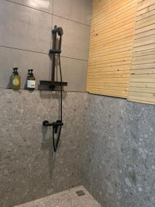 a shower in a bathroom with a shower at Yi Piao B&B in Zhushan