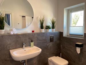 a bathroom with a sink and a mirror and a toilet at RiversideSuite.Mosel in Neumagen-Dhron