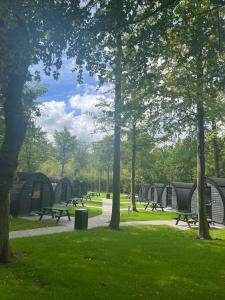 a park with benches and picnic tables in the grass at SportsPark Blaavandshuk Resort in Oksbøl