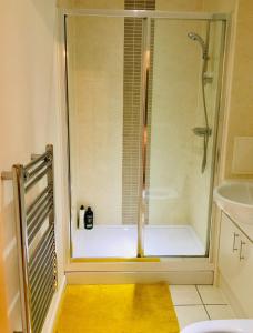 een douche met een glazen deur in de badkamer bij Cloud9SA at Woking Central in Woking