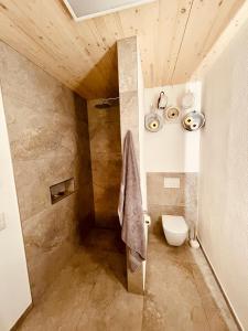 a bathroom with a shower and a toilet in it at Beim Baltas in Wildpoldsried