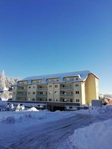Residenz-Grafenmatt-Feldberg-Schwarzwald v zimě