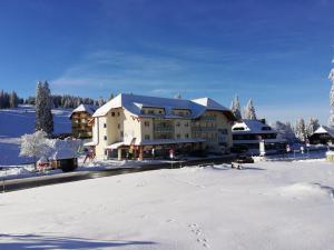 Residenz-Grafenmatt-Feldberg-Schwarzwald v zimě