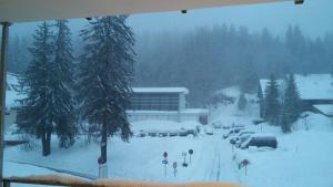 Residenz-Grafenmatt-Feldberg-Schwarzwald v zimě