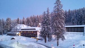 Residenz-Grafenmatt-Feldberg-Schwarzwald v zimě