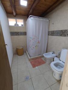 a bathroom with a toilet and a shower curtain at Vistalbahouse in Ciudad Lujan de Cuyo