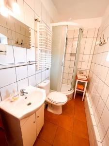 a white bathroom with a toilet and a sink at Agro - Dom Wsrod Lasow in Trzcianka