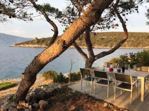 una mesa y sillas bajo un árbol junto al agua en Hvar island -Enjoy Your privacy by the sea, en Stari Grad