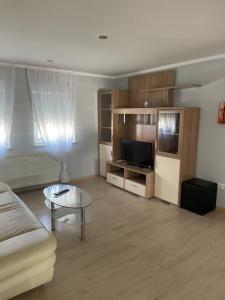 ein Wohnzimmer mit einem Sofa und einem TV in der Unterkunft Ferienwohnung Gambrinus in Hotel Gambrinus in Wetzlar