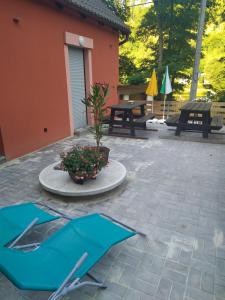 een patio met een tafel en een potplant bij Chata na řece Sázavě in Samopše