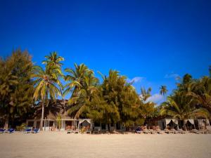 a beach with chairs and palm trees and a building at White Dream in Kiwengwa