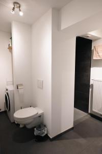 La salle de bains blanche est pourvue d'une douche et de toilettes. dans l'établissement La petite Citadelle - l'appartement, à Namur