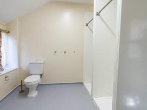 a white bathroom with a toilet and a shower at Nethercott House in Winkleigh