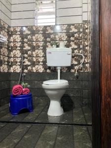 a bathroom with a white toilet in a room at Bhuman Homestay in Siliguri