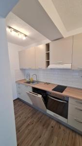 Kuchyňa alebo kuchynka v ubytovaní Apartmani Mlinar - studio apartment