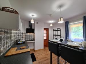a kitchen with a table and a counter top at Apartament Katarina 2 in Ustrzyki Dolne