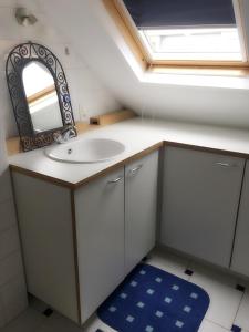 uma casa de banho com um lavatório e um espelho em Studio Cosy à Woluwé em Bruxelas