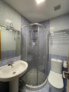 a bathroom with a shower and a toilet and a sink at Hostal Santiago 2 in Burgos