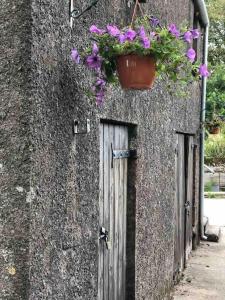 Giardino di Lucy's Loft
