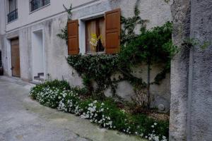 a building with a window with flowers in it at Appartamento Masi in Lasino