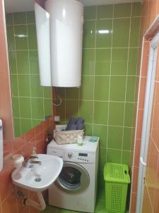 a bathroom with a washing machine and a sink at LENI apartman u centru Zajecara in Zaječar