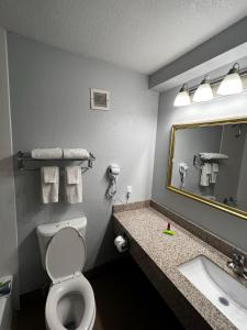 a bathroom with a toilet and a sink and a mirror at Super 8 by Wyndham Fort Worth Entertainment District in Fort Worth