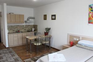 Kuchyň nebo kuchyňský kout v ubytování VILA ONIX + 9 fotografií