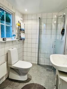 a bathroom with a toilet and a sink and a shower at Ekverandan in Höganäs