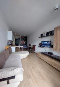 Televízia a/alebo spoločenská miestnosť v ubytovaní Apartament pod Szyndzielnią, Dębowiec