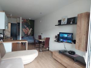 TV a/nebo společenská místnost v ubytování Apartament pod Szyndzielnią, Dębowiec