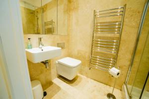 ein Bad mit einem WC, einem Waschbecken und einer Dusche in der Unterkunft Luxury 1 Bed Flat, Spectacular Views Of Bath in Bath
